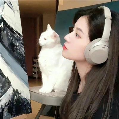 完美武器